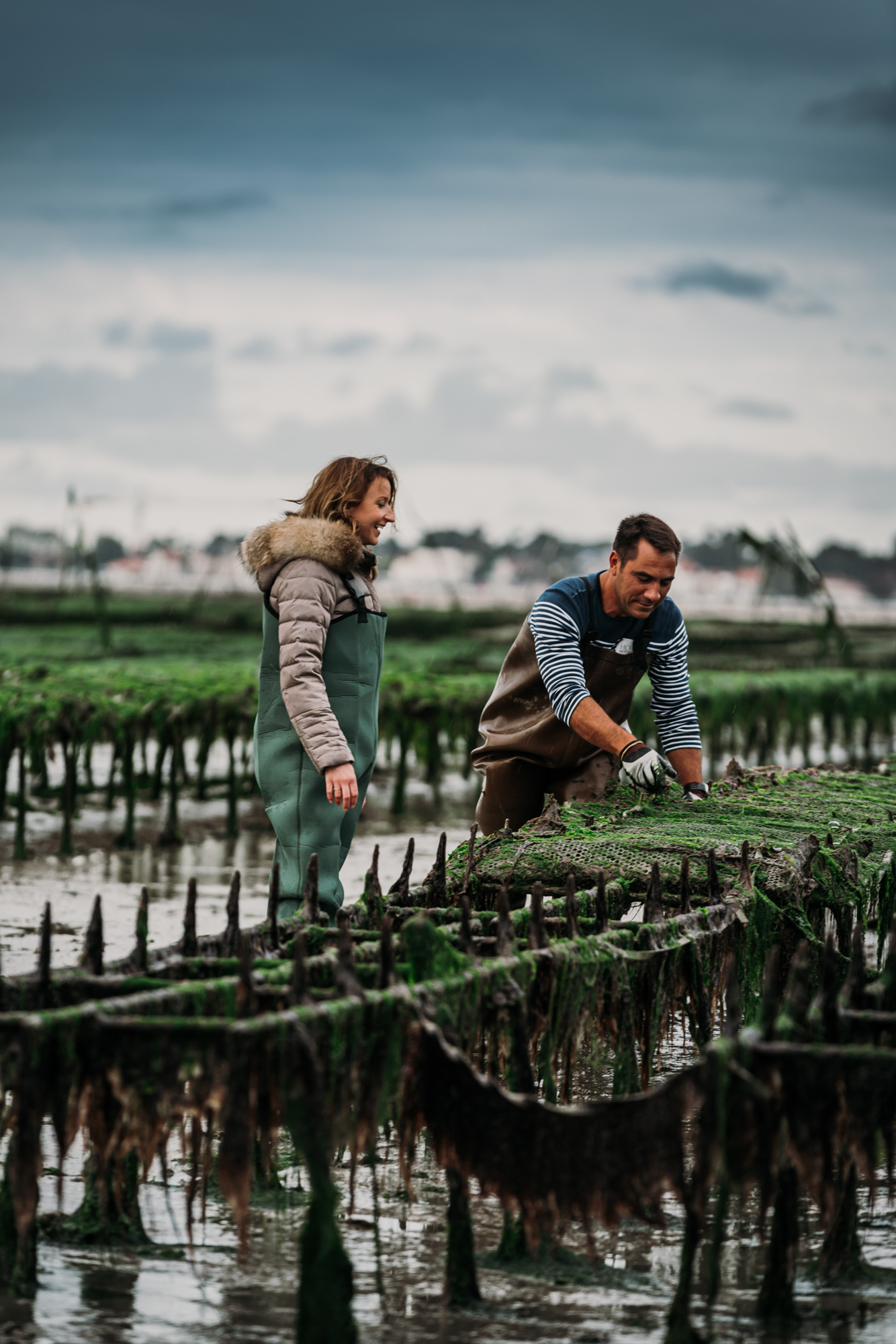 Travail sur un parc à huîtres — Huîtres Charente-Maritime