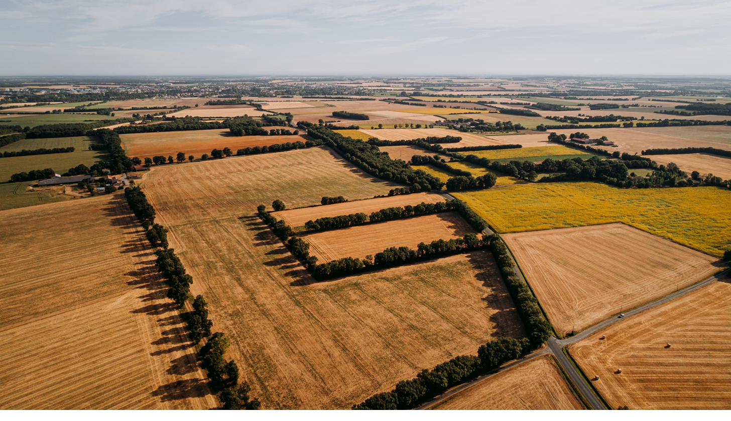 Champs de blé vus du ciel — Ecocert