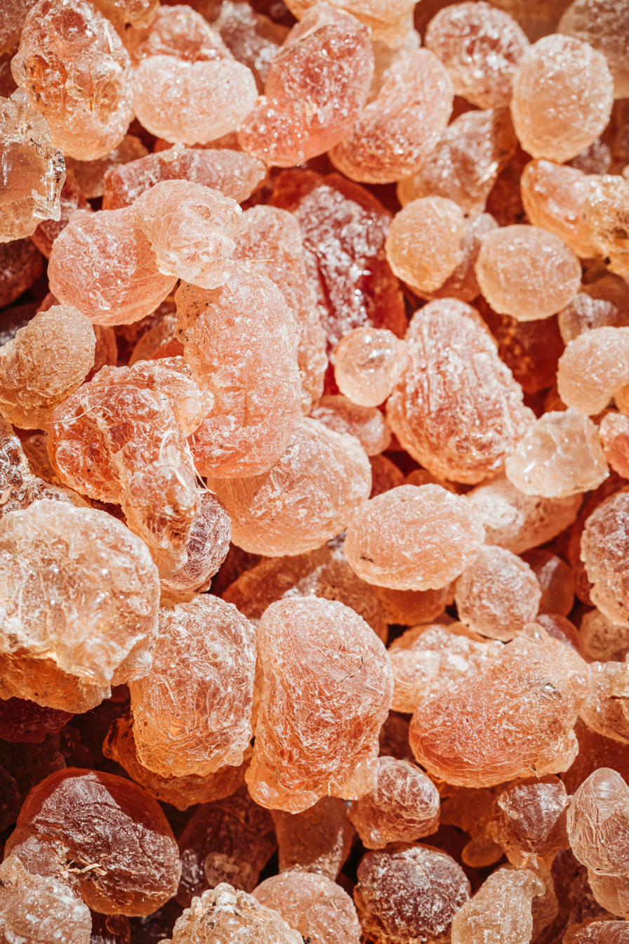 Larmes de gomme arabique séchées — Tchad