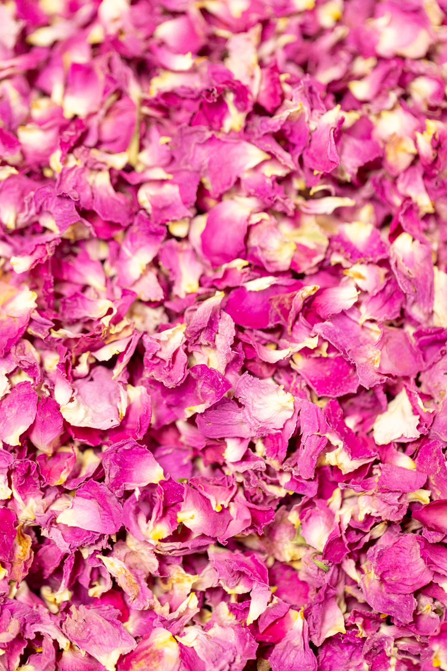 Pétales de rose séchés — Oriane, Maroc